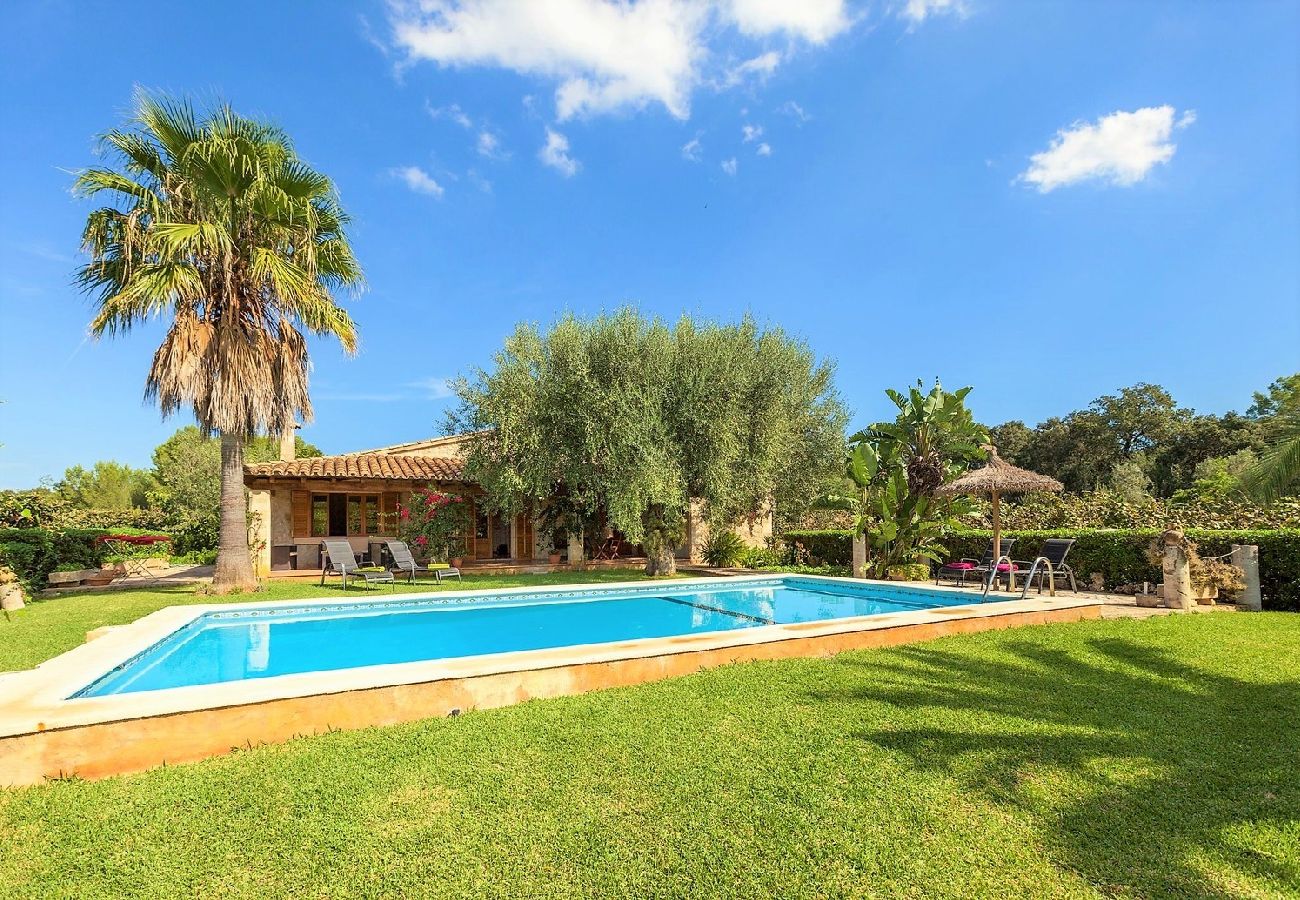 Villa in Pollensa - La Taulera with Private Pool