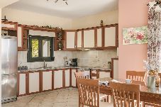 Villa in Trapezaki - Villa Stamo with Private Pool