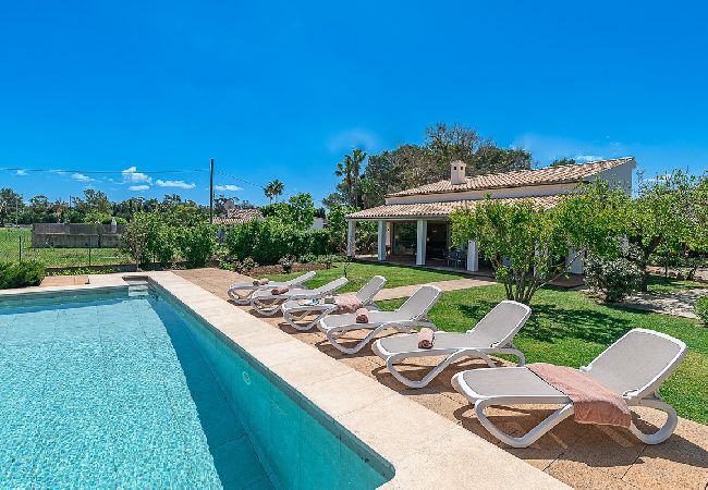 Villa in Pollensa - Siller Roqueta with Private Pool