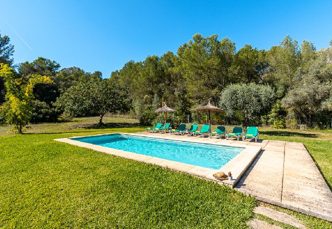 Villa in Pollensa - Villa Esplai with Private Pool